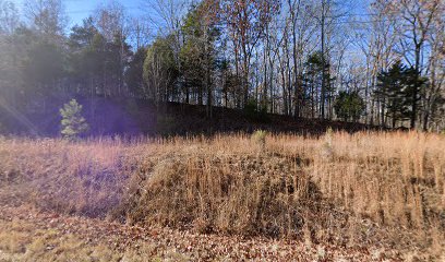 Collins Land Clearing