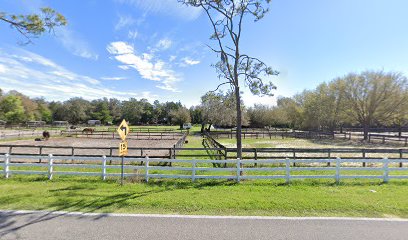 School of Dressage