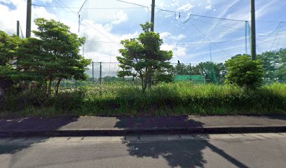 かもめ公園野球場