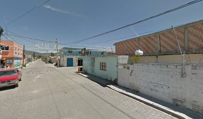 Palmarito tochapan Puebla