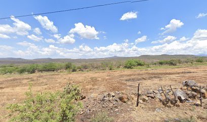 Transportes de Pasajeros de Michoacán