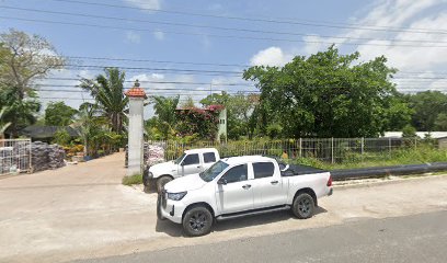 vivero bromelias