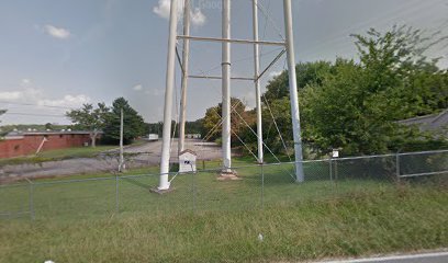 Lafayette Water Tower/Rose