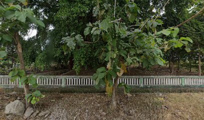 Makam guo jabaran