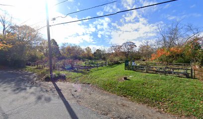 Young Farm and the Lanesville Community Garden