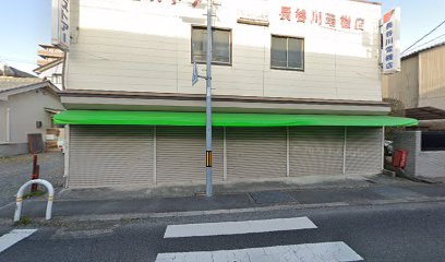 長谷川電機店