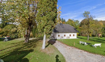 Ferienhaus Traunseeblick