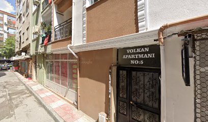 Manisa papağan dünyası