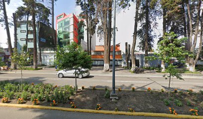 Casa Scout Provincia Toluca