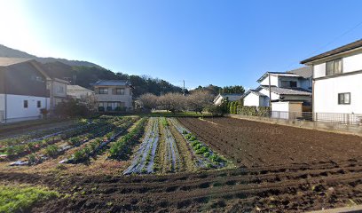 水崎ふとん店