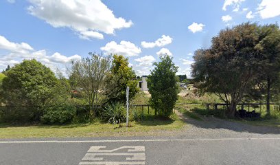 Top Cat Cattery