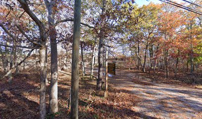 Upper peconic river fishing access