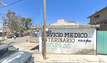 Farmacia veterinaria