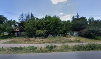 Jardín de eventos el ciruelo