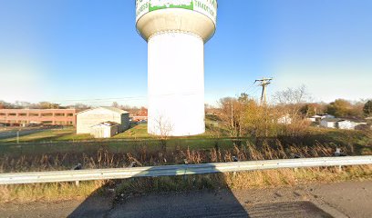 Farmington water tower/Tree