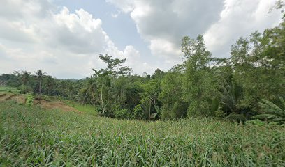 Taman Pendidikan Al-Qur'an (TPA/TPQ) Ar Rohman