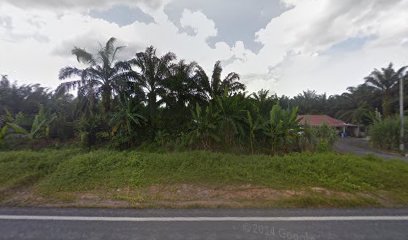 Tanah Hitam Alor Pongsu