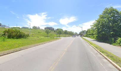 Washington Ave Fields