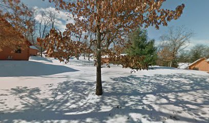 Outdoor Pool Log Cabins at Bluegreen Christmas Mountain Village