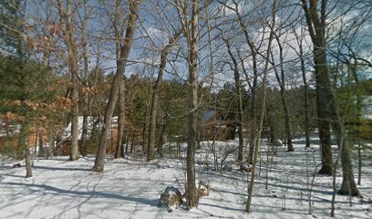 225 Log Cabins at Bluegreen Christmas Mountain Village