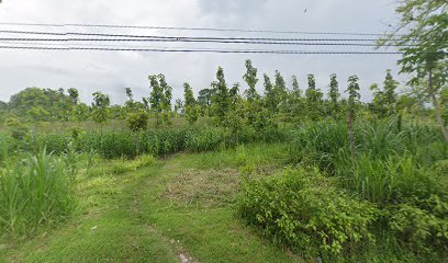 Istana empu sedah