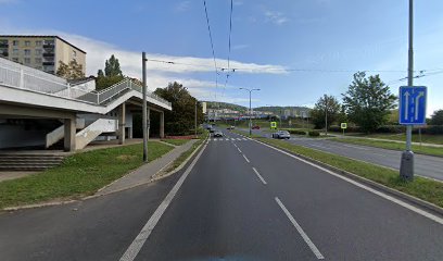 Autosklo Renova