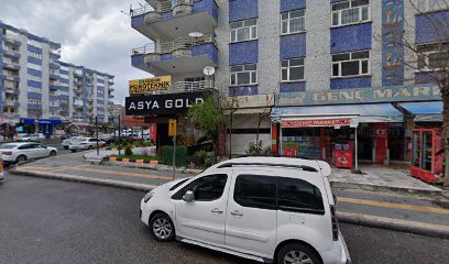 Asya Gold