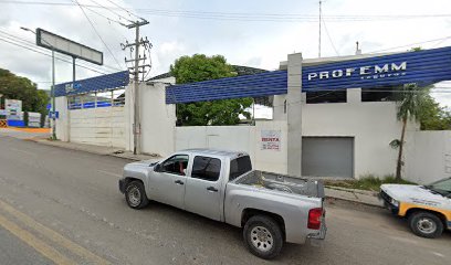 PROFEMM Agente de Seguros S.A. de C.V.