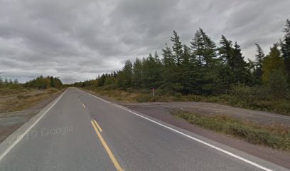 Newfoundland trailway highw crossing