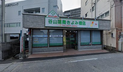 南日本薬剤センター薬局 きよみ橋店