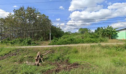 Bunny Helps Me-Loei Branch