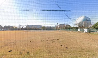関東天然瓦斯開発 野球場