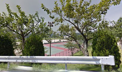 大信総合運動公園テニスコート