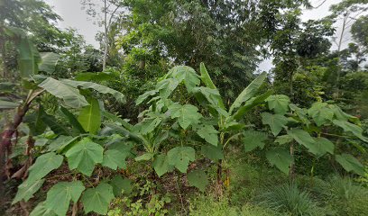 Pengelohan kayu fajar putra