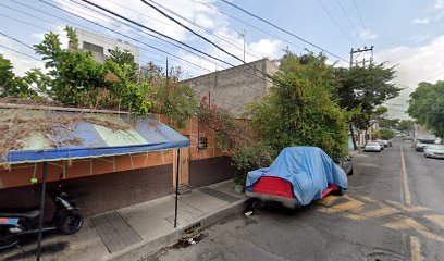 Tacos Arbol De Las Arañas