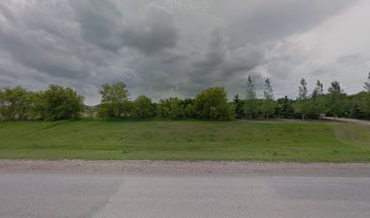 The Barking Lot Kennel and Grooming