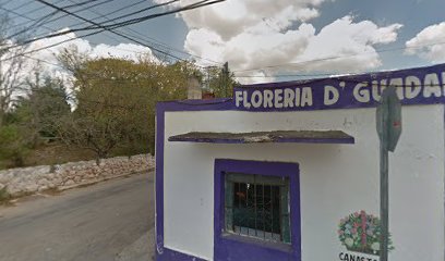 Floreria D'guadalupe