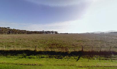 Western Victoria Livestock Exchange (WVLX)