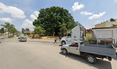 Higuera de la Ex Hacienda de Arroyo de Enmedio (árbol patrimonial - ACAMPA A.C.)