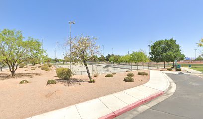 Desert Breeze Roller Hockey Rinks