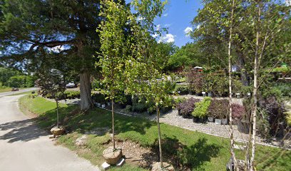 Creekside Bonsai