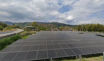 太陽光発電所（はりがね低フェンス）