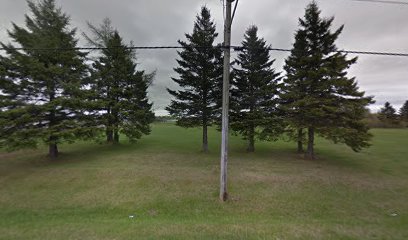 bouctouche skatepark