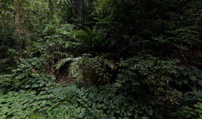 Makam Syeh Machfud Assyarif