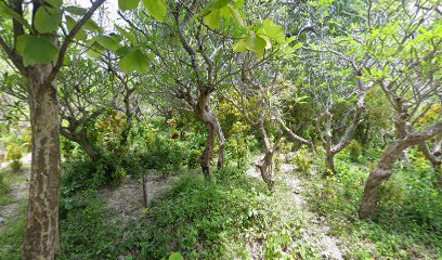 Makam Umum Pilang Macaninreng