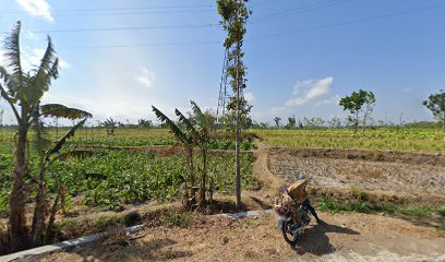 Bisnis anyaman rotan