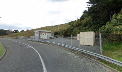Plimmerton Zone Substation