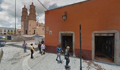 Bienes Raíces Dolores Hidalgo