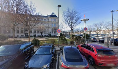 IZIVIA Grand Lyon Station de recharge