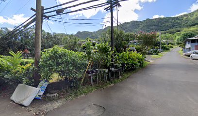 SUPER TINY HOMES HAWAII